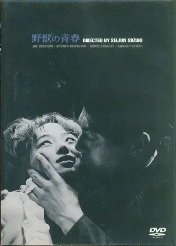 일본 국내 영화 DVD 야수의 청춘