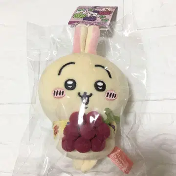 지역 한정 치이카와 토끼 포도 봉제 인형 키체인 야마나시 한정판 2