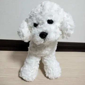 타치누이 토이 푸들 봉제 인형 화이트