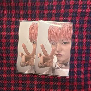 treasure 요시 special moment 혜택