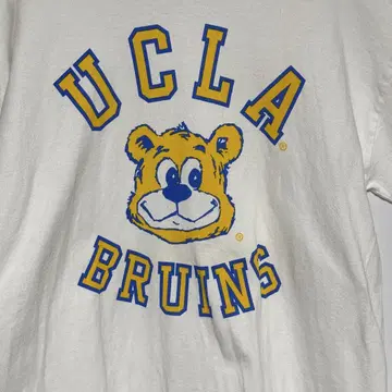 챔피온 UCLA 브루인스 티셔츠 T1011 USA제