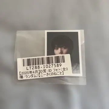 키라리스 클러치 4월 ID 사진 코이즈미 사츠키