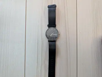 SKAGEN 손목시계 남성용