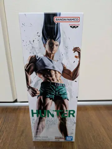 헌터 x 헌터 곤 피그 라이프 피규어