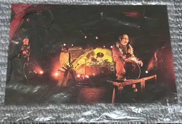 DIR EN GREY 타워 레코드 혜택 집합 B