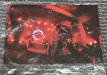 DIR EN GREY 타워 레코드 특전 엽서 집합 A