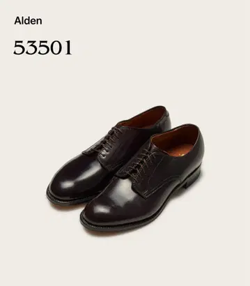 Alden 53501 다크 버건디 옥스퍼드
