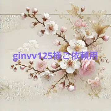 ginvv125님 의뢰용