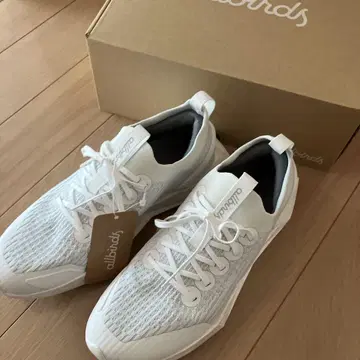 allbirds Tree Flyer 2 US 8.5 화이트