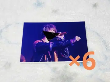 쵸코라비 페니쿠로 실사 브로마이드