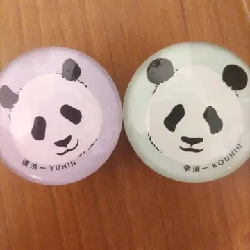 기념품 유리 마그넷 2개 세트 어드벤처 월드 유하마 유코하마