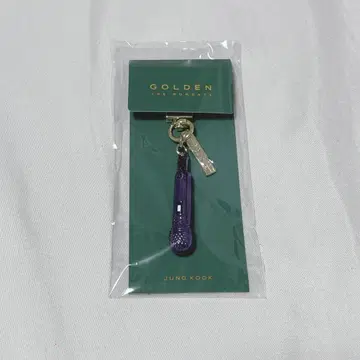 JUNG KOOK 정국 GOLDEN 마이크 키링