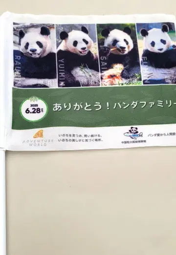 어드벤처 월드 팬더 귀국 깃발