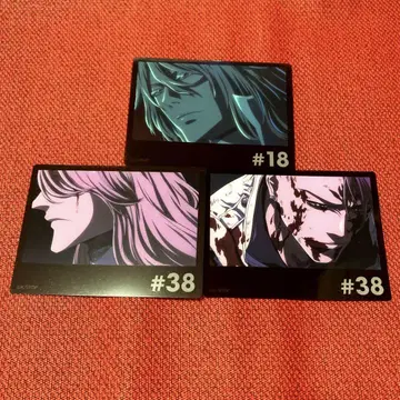 BLEACH 13 클리어 카드 하쉬발트 버즈비 카드