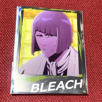 BLEACH 13 인스턴트 사진풍 브로마이드 히라코 마코