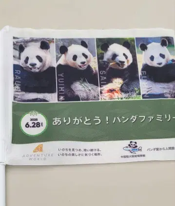 어드벤처 월드 팬더 귀국 응원 깃발