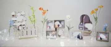 웨딩, 결혼식, 웰컴 스페이스