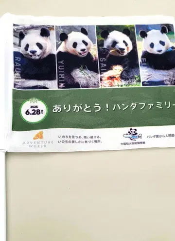 어드벤처 월드 팬더 귀국 깃발