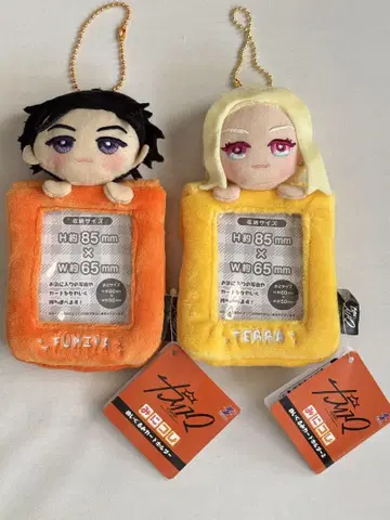 카리스마 미니 컬렉션! 봉제 인형 카드 홀더 테라 이토 후미야