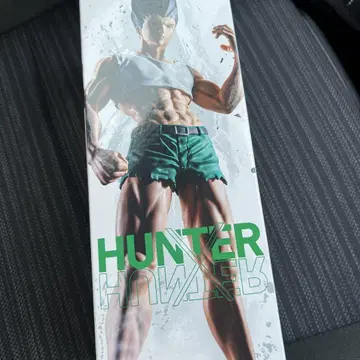 헌터x헌터 곤 피규어