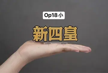 원피스 신 4황제 피규어 아크릴 로고 Op18 소 사이즈