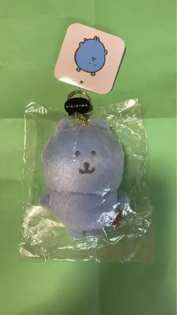 나가노 캐릭터 컬러 나가노의 곰 마스코트 라이트 블루