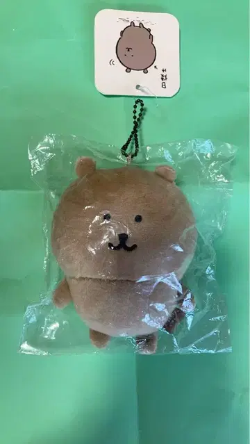 나가노 캐릭터 일광화상 곰 마스코트