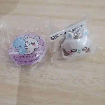 치이카와 쿠라스시 세트 판매 모몽가