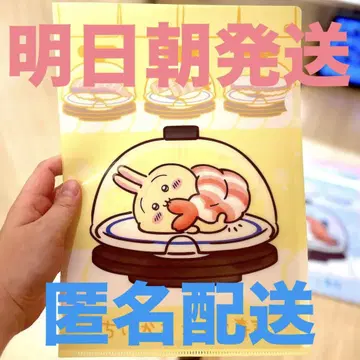 치이카와 쿠라스시 콜라보 토끼 클리어 파일