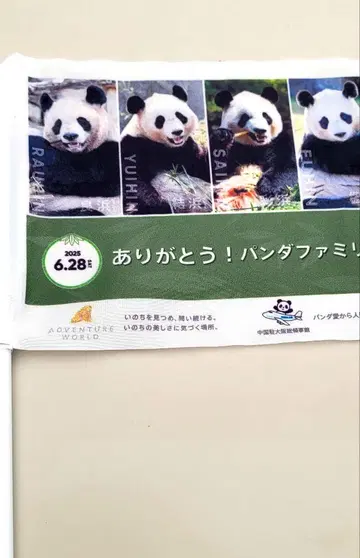 어드벤처 월드 팬더 귀국 깃발
