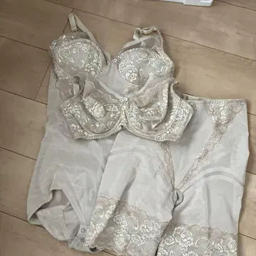 셋업