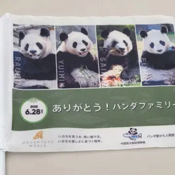 어드벤처 월드 팬더 귀국 응원 깃발