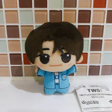신유 TWS From PLEDIS ENTERTAINMENT SD 인형