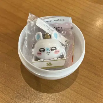 치이카와 쿠라스시 오리지널 피규어 모몽가