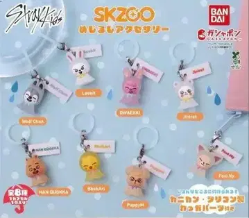 SKZOO 메지루시 액세서리 여러가지 15개