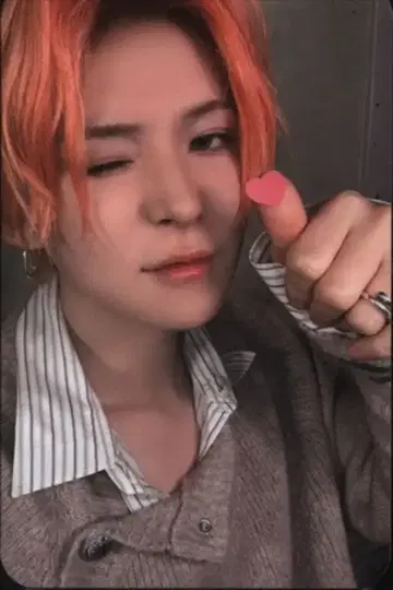 트레저 무-모 요시 플레저