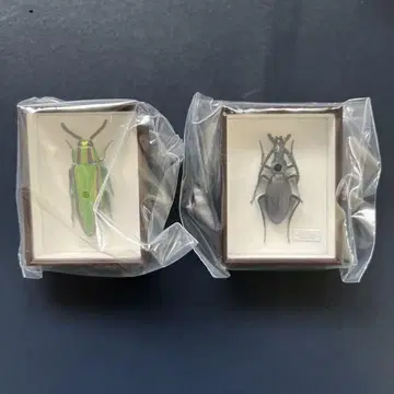 독일 상자 마그넷 컬렉션 4 야마토 타마무시 오오루리오사무시