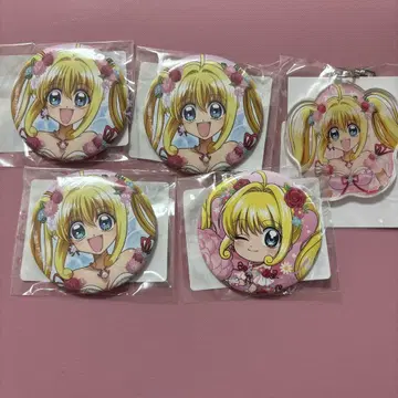 루치아 세트