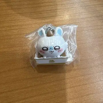쿠라스시 모몽가 피규어