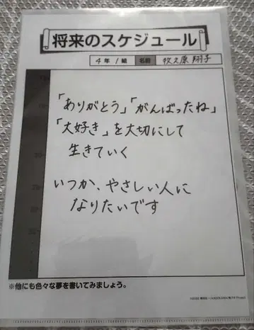 파랑 돼지 전시회 향후 일정 클리어 파일 마키노하라 쇼코