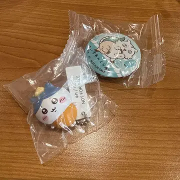 치이카와 쿠라스시 하치와레 아노코