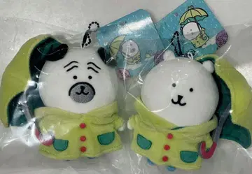나가노 마켓 나가노 캐릭터들 비가 오네요 마스코트 나가노의 곰 퍼그 씨