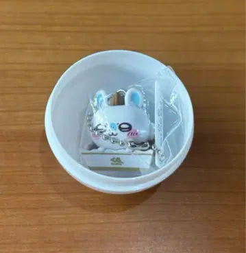 모몽가 쿠라스시 콜라보 피규어