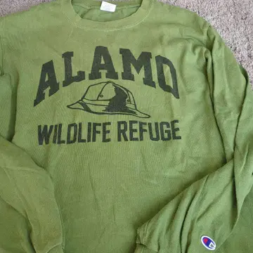 Champion ALAMO WILDLIFE REFUGE M 긴팔 티셔츠