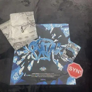 syna world 셋업