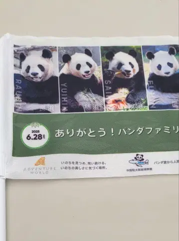 어드벤처 월드 팬더 귀국 깃발