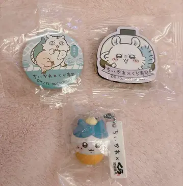 치이카와 쿠라스시 하치와레 모몽가 아노코