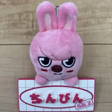 SKZOO 스키즈 네임 백 참 찬빈 돼끼 TOYWORLD