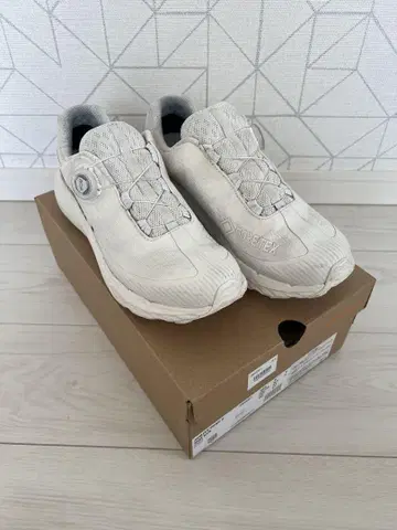 머렐 AGILITY PEAK 5 BOA GORE-TEX 27cm