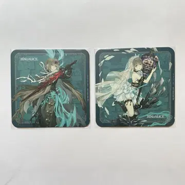 코스터 시노 앨리스 그레이